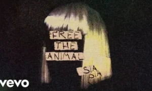 Free the Animal Lyrics – Sia