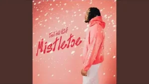 Too Trill HSG - Mistletoe Lyrics